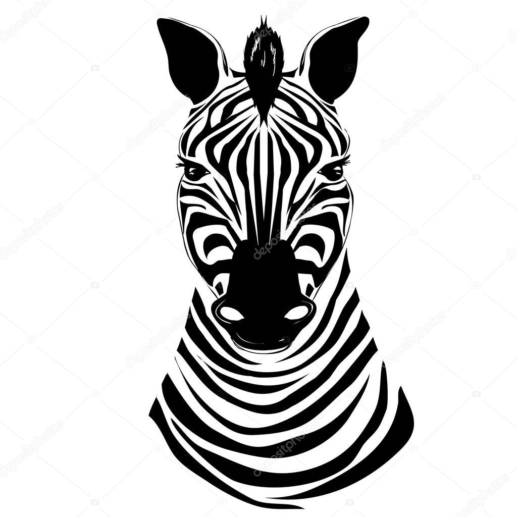Zebra animal , vector, illustration