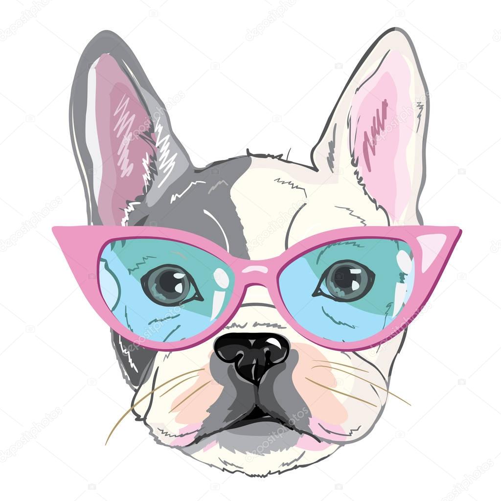 bulldog with glasses, puppy, dog, vector, illustration