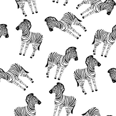 Zebra desen, vektör, illüstrasyon