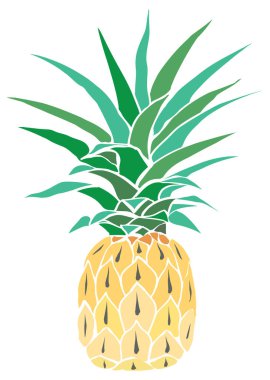 Ananas Meyve, vektör, illüstrasyon