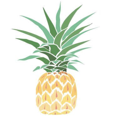 Ananas Meyve, vektör, illüstrasyon