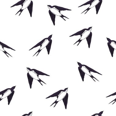 yutmak model, vektör, illüstrasyon