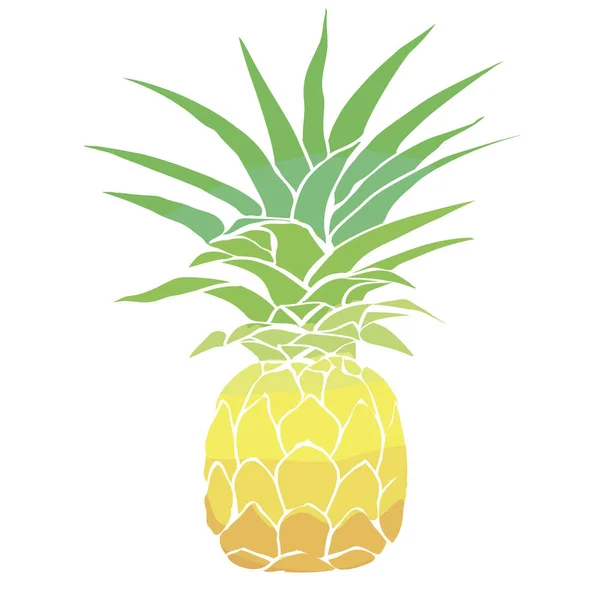 Ananas frukt, vektor, illustration — Stock vektor