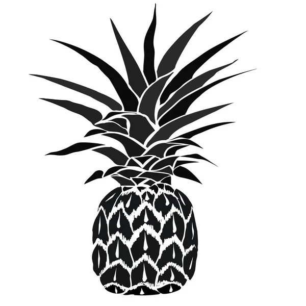 Pineapple fruit, vector, illustration — Stock Vector