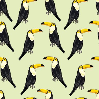 Tukan, kuş, vektör, illüstrasyon