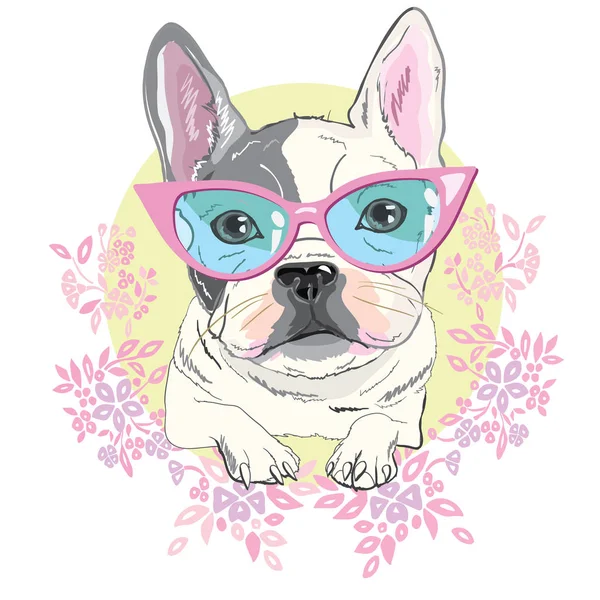 Bulldog, vektör, illüstrasyon