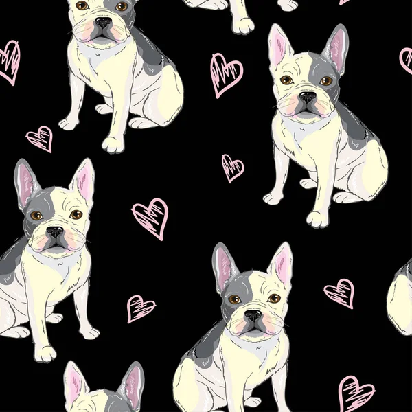köpek, model, vektör, illüstrasyon