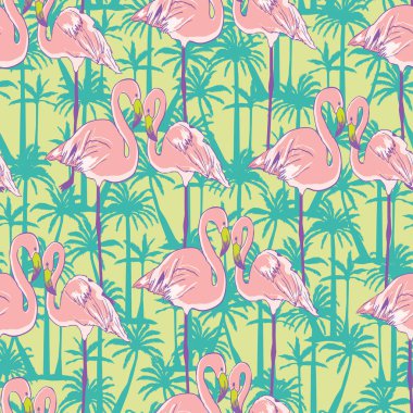 Flamingo model, vektör, illüstrasyon