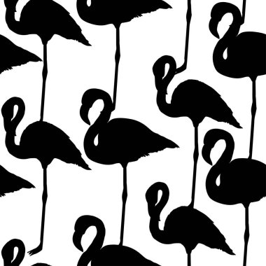 Flamingo model, vektör, illüstrasyon