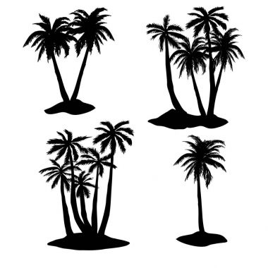 palmiye ağaçları siluet, vektör, illüstrasyon