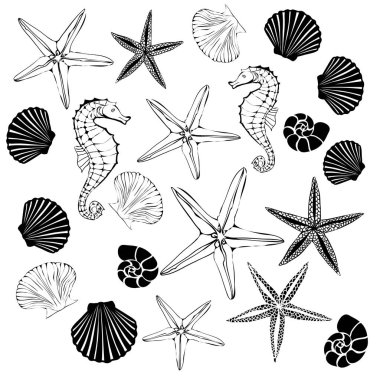 kabukları, deniz, vektör, illüstrasyon