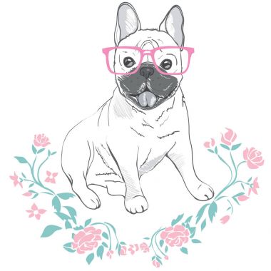 Bulldog gözlük, vektör çizim