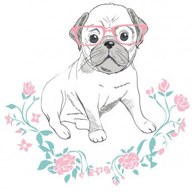 Bulldog gözlük, vektör çizim