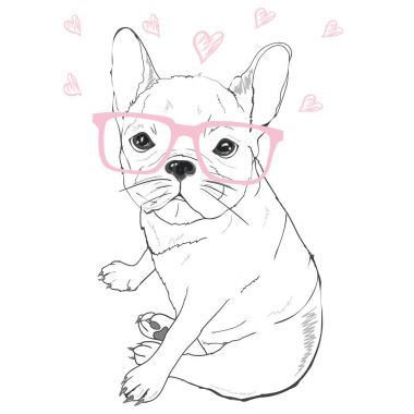 Bulldog gözlük, vektör çizim