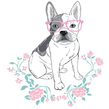 Bulldog gözlük, vektör çizim