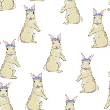 tavşan model, vektör, illüstrasyon