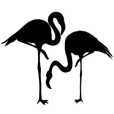 Flamingo siluet, vektör, illüstrasyon