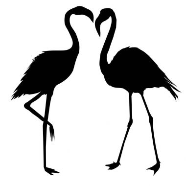Flamingo siluet, vektör, illüstrasyon