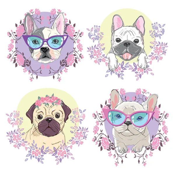 Bulldog en gafas, ilustración vectorial — Vector de stock