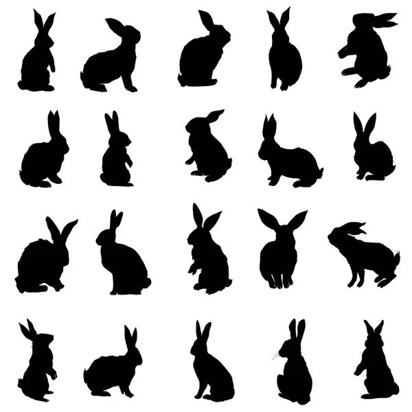 Silueta de conejo, vector, ilustración — Vector de stock