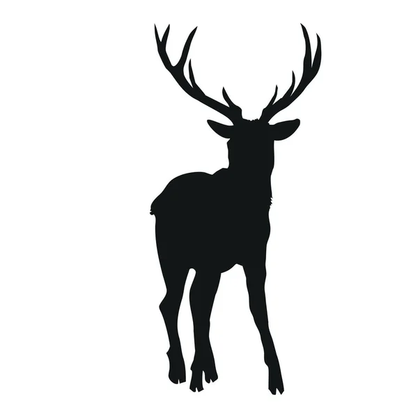 Deer silhouette, vector illustration — Stock Vector