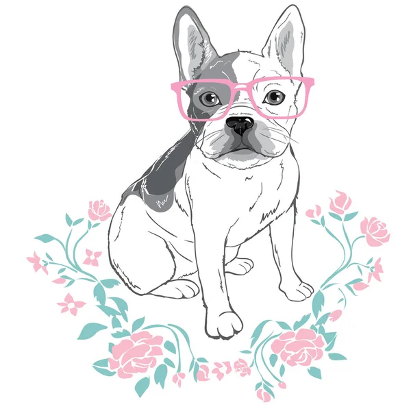 Bulldog szemüveget, vektoros illusztráció — Stock Vector