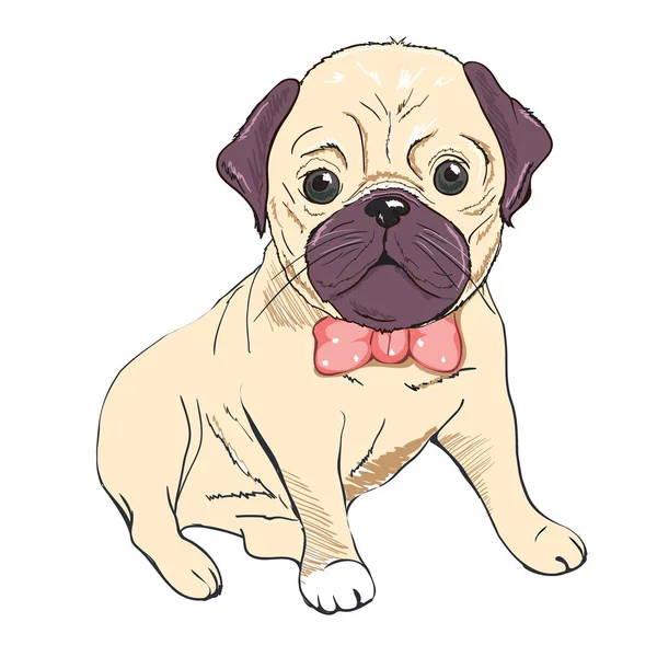 Bouledogue à lunettes, illustration vectorielle — Image vectorielle