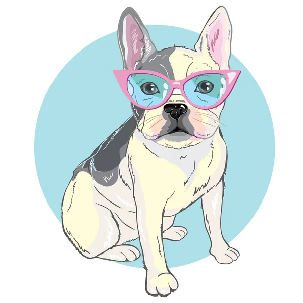 Bulldog en gafas, ilustración vectorial — Archivo Imágenes Vectoriales