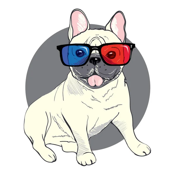 Bulldog en gafas, ilustración vectorial — Archivo Imágenes Vectoriales