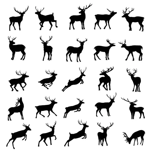 Deer silhouette, vector illustration — Stock Vector