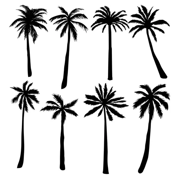 Palmiye ağaçları siluet, vektör, illüstrasyon — Stok Vektör