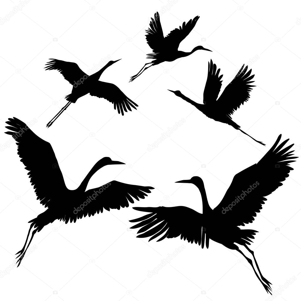 Crane silhouette vector illustration — Stock Vector ...