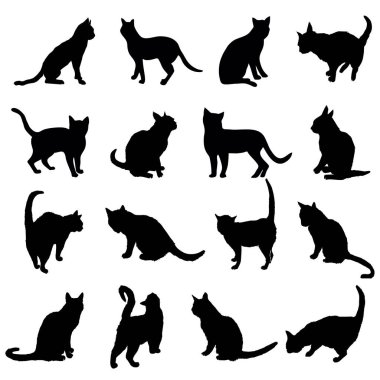 kedi siluet, vektör, illüstrasyon