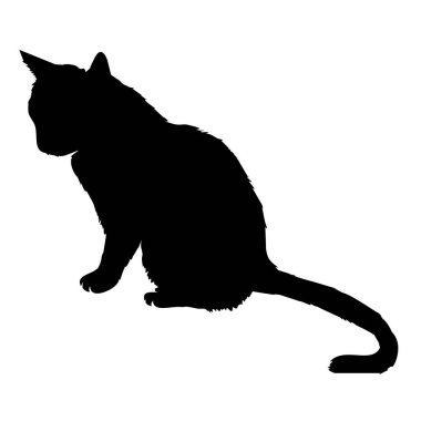 kedi siluet, vektör, illüstrasyon