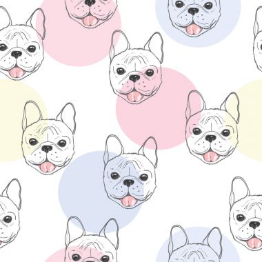 Bulldog, köpek, vektör, illüstrasyon