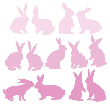 tavşan-hayvan, vektör, illüstrasyon