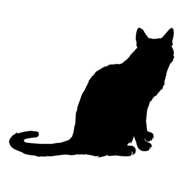 kedi siluet, vektör, illüstrasyon