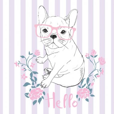 Bulldog, köpek, vektör, illüstrasyon