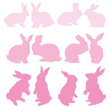 tavşan-hayvan, vektör, illüstrasyon