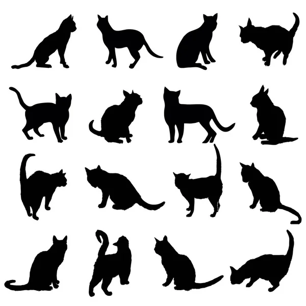 Silhouette de chat, vecteur, illustration — Image vectorielle