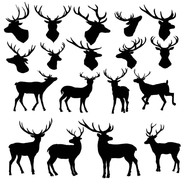 geyiği siluet, vektör, illüstrasyon