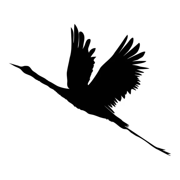 Grue, oiseaux, vecteur, illustration — Image vectorielle