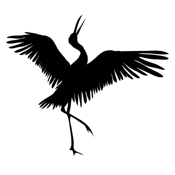 Kranich, Vögel, Vektor, Illustration — Stockvektor