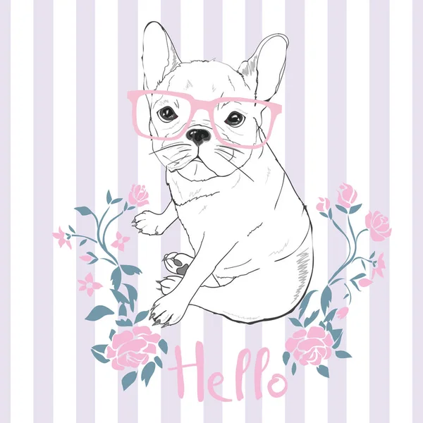 Bulldog, köpek, vektör, illüstrasyon