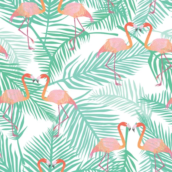 Flamingo model, vektör, illüstrasyon