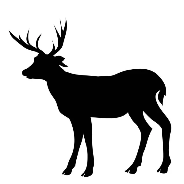 Deer silhouette, vector, illustration — Stock Vector