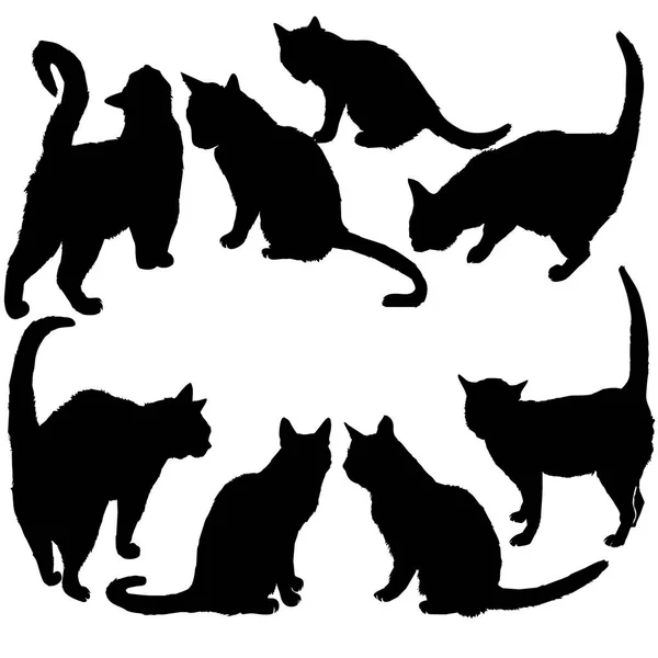 Silhouette de chat, vecteur, illustration — Image vectorielle