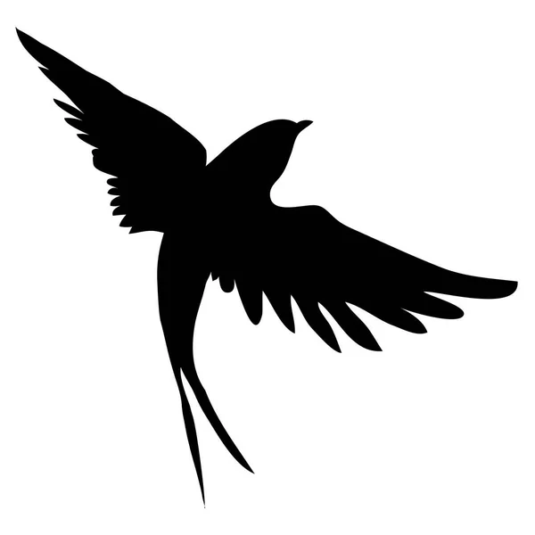 Zwaluwen vogels vectorillustratie — Stockvector