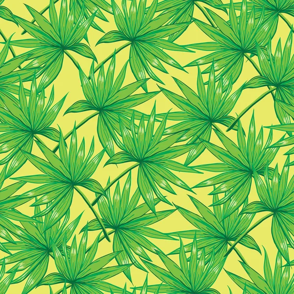 Fern, palm, doğa, vektör, illüstrasyon