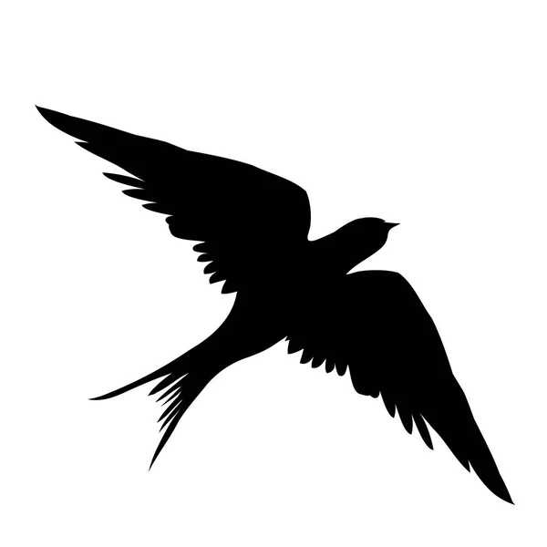 Rondini uccelli vettoriale illustrazione — Vettoriale Stock